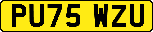 PU75WZU