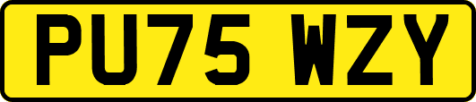 PU75WZY
