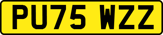 PU75WZZ
