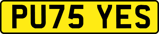 PU75YES