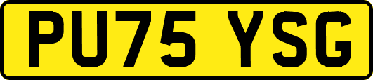 PU75YSG
