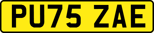 PU75ZAE