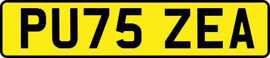 PU75ZEA