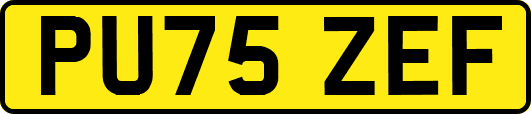 PU75ZEF