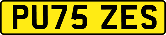 PU75ZES