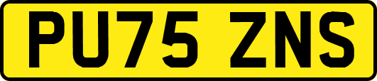PU75ZNS