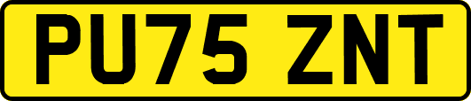 PU75ZNT
