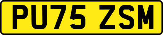 PU75ZSM