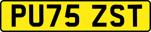 PU75ZST