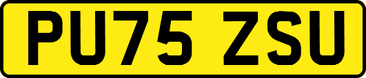 PU75ZSU