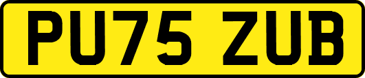 PU75ZUB