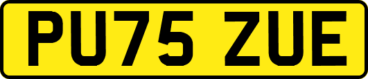 PU75ZUE