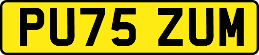 PU75ZUM