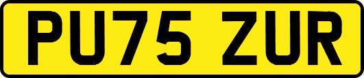 PU75ZUR