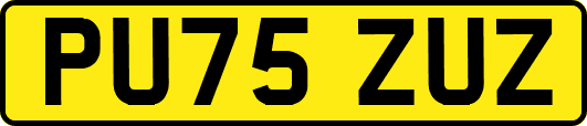 PU75ZUZ