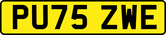 PU75ZWE