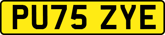 PU75ZYE