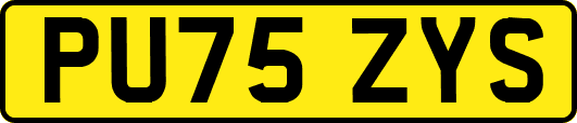 PU75ZYS