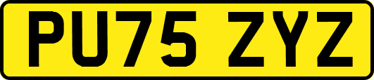 PU75ZYZ