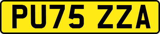 PU75ZZA