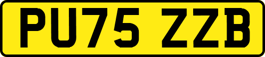 PU75ZZB