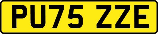 PU75ZZE