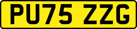 PU75ZZG