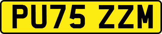 PU75ZZM