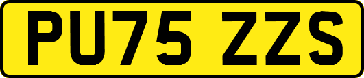 PU75ZZS