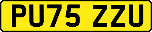 PU75ZZU