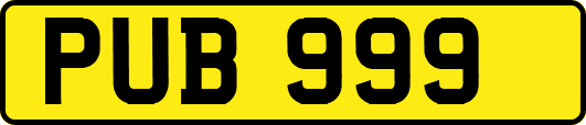 PUB999