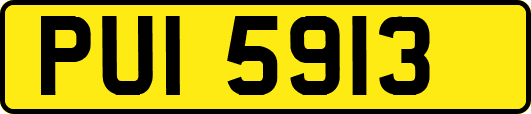 PUI5913