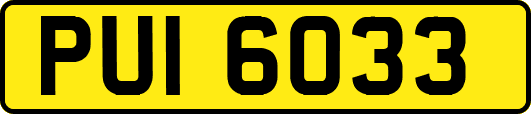 PUI6033