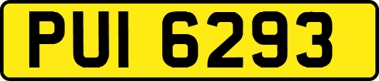 PUI6293