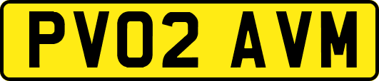 PV02AVM