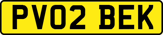 PV02BEK