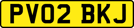 PV02BKJ