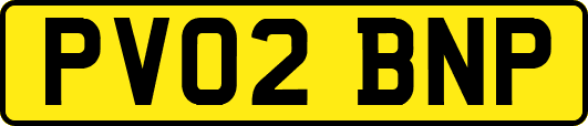 PV02BNP
