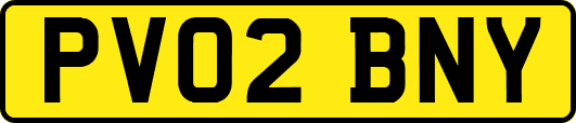 PV02BNY
