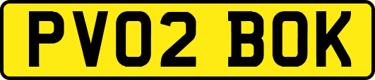 PV02BOK