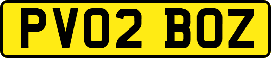 PV02BOZ