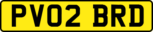 PV02BRD