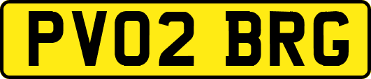PV02BRG