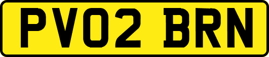 PV02BRN