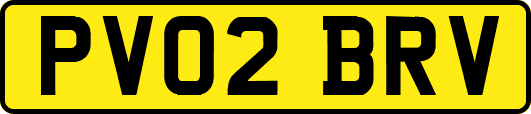 PV02BRV
