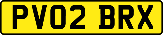 PV02BRX
