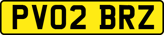 PV02BRZ