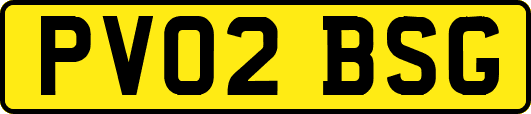 PV02BSG
