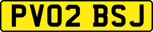 PV02BSJ