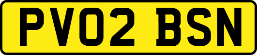 PV02BSN